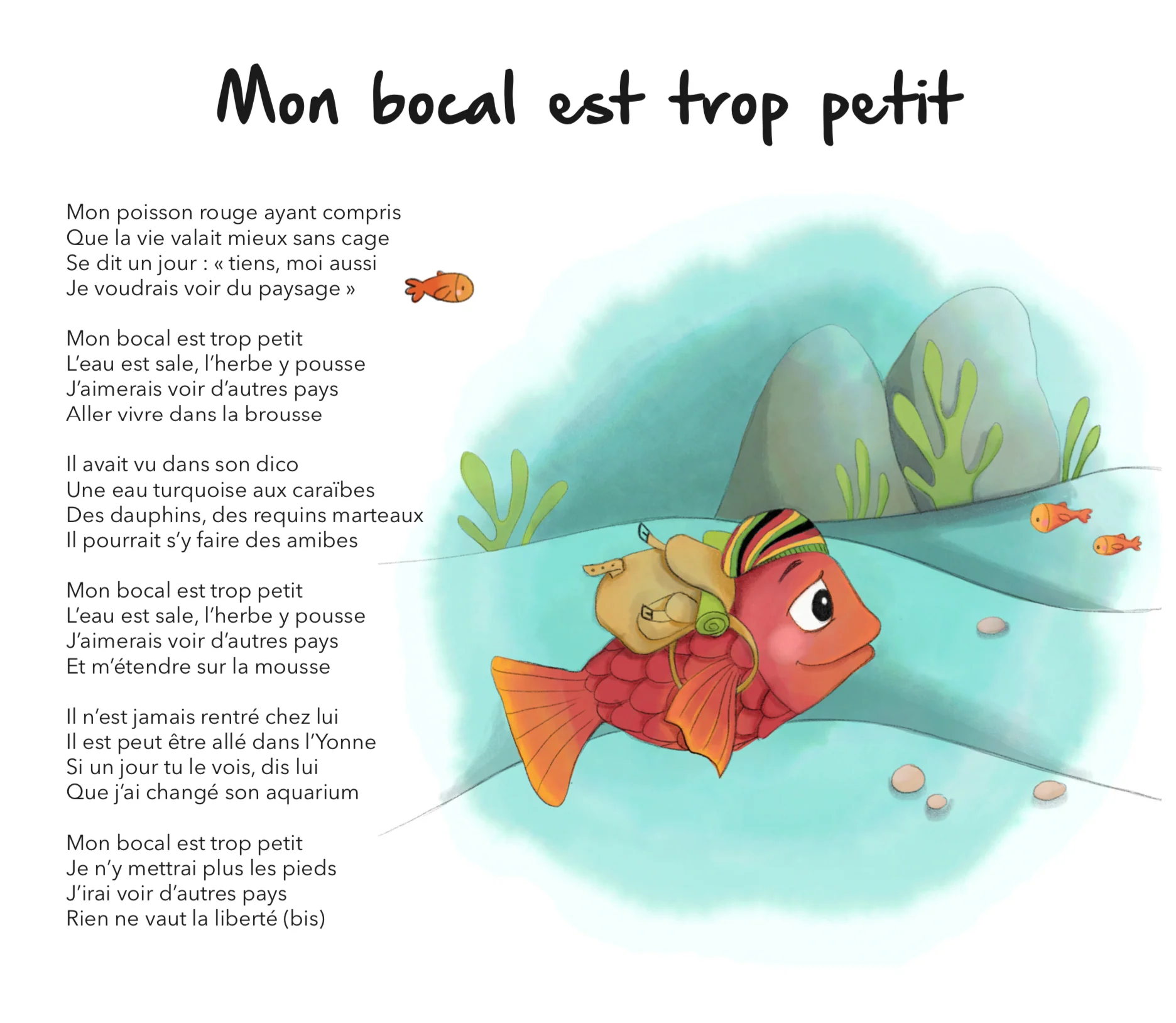 Image du produit 13