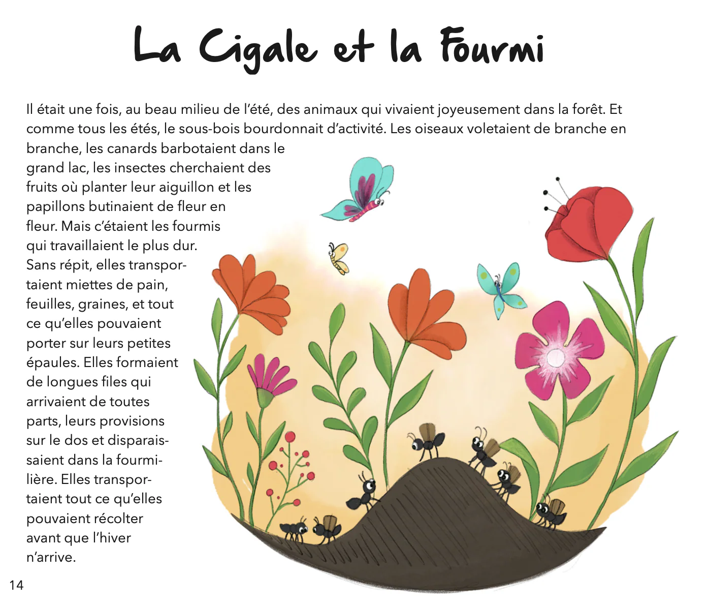 Image du produit 16