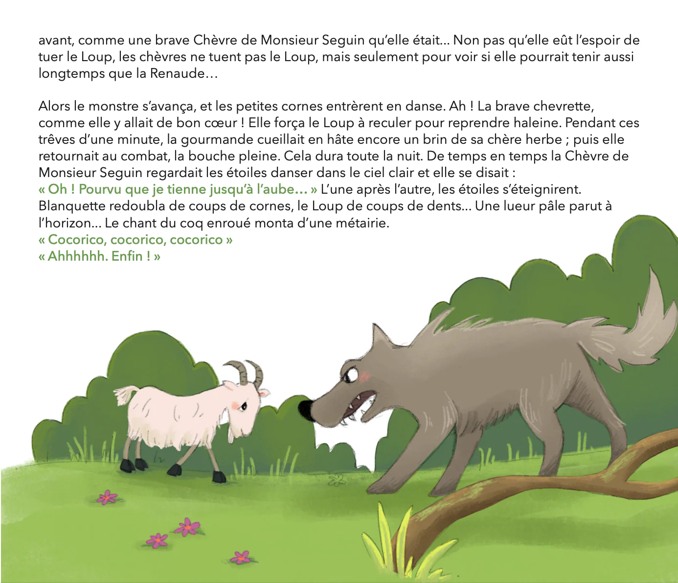 Image du produit 21