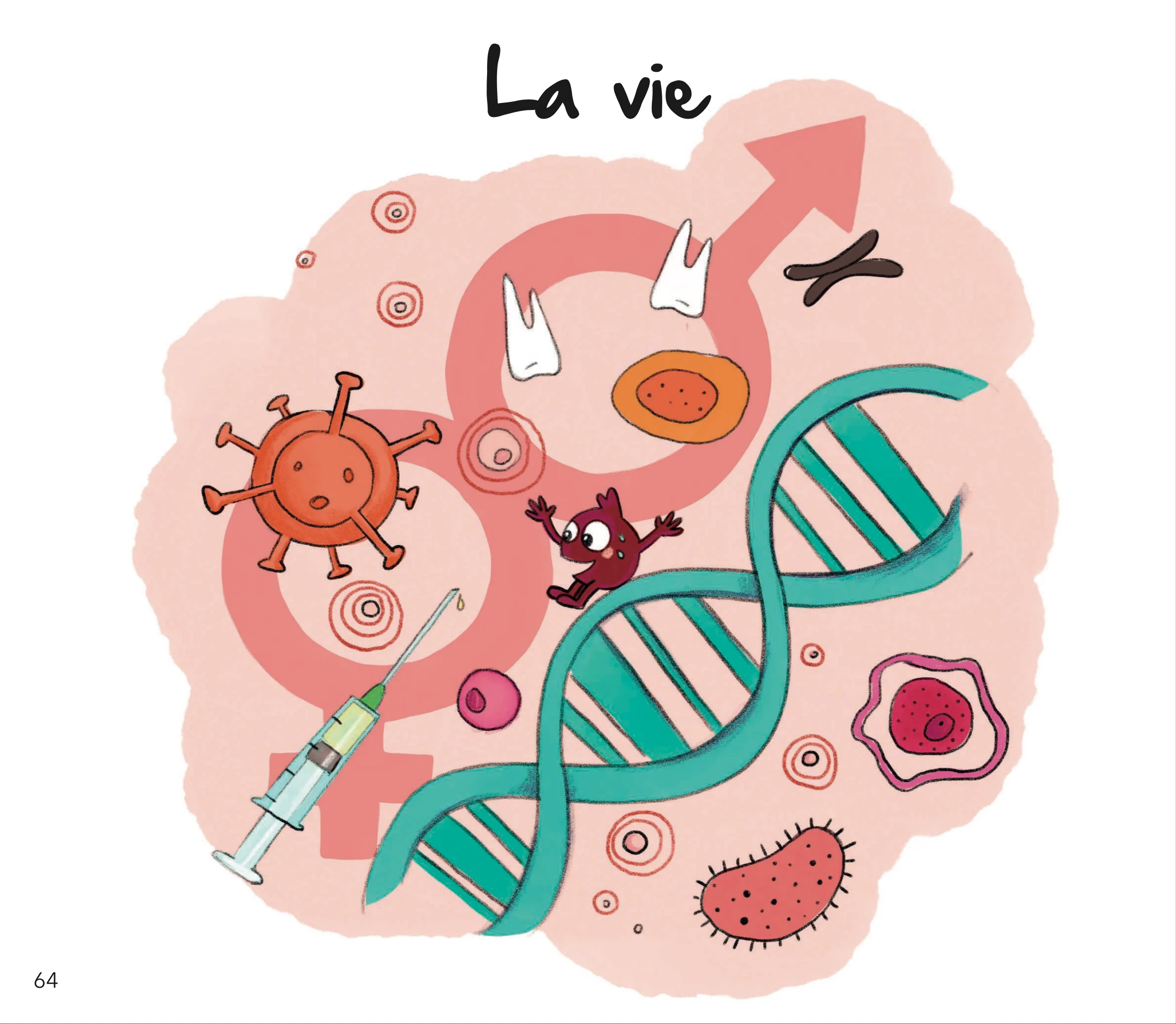 Image du produit 11