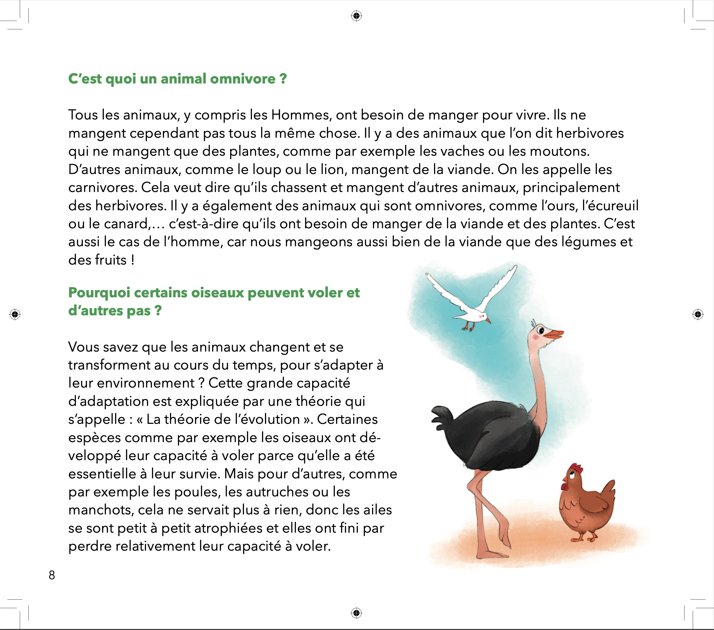 Image du produit 13